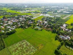 Aerial view of residential plots surrounded by greenery and a nearby developed neighborhood.