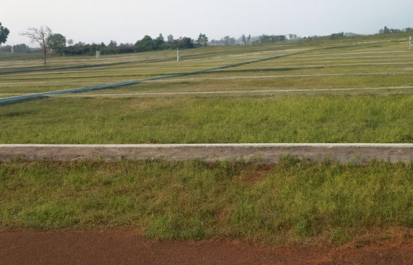 Open land plots with green grass, clearly marked boundaries, and internal paved roads in a well-planned residential or commercial layout under a clear sky.