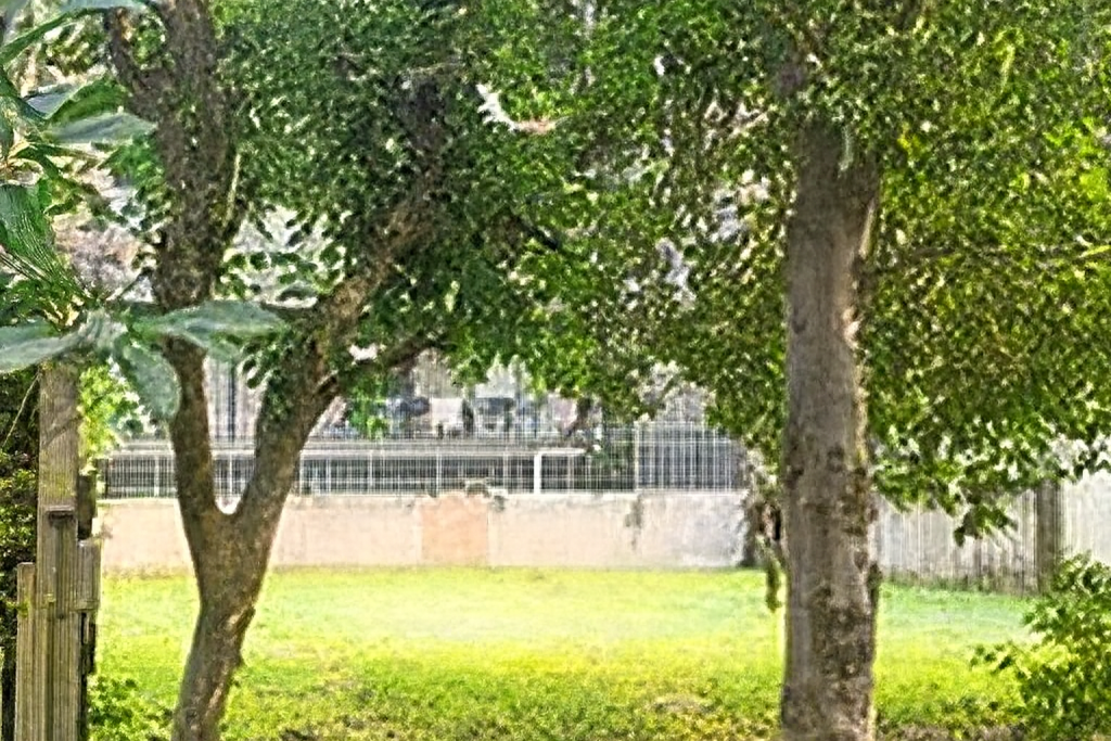 plot in South City 1, Gurugram featuring open green land with mature trees, clear boundaries, and a peaceful neighborhood setting ideal for home construction.